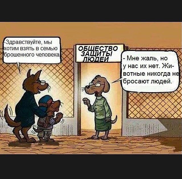 общество.jpg